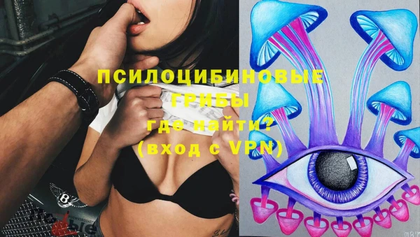 PSILOCYBIN Коряжма
