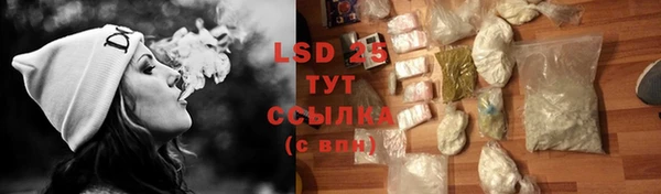 PSILOCYBIN Коряжма