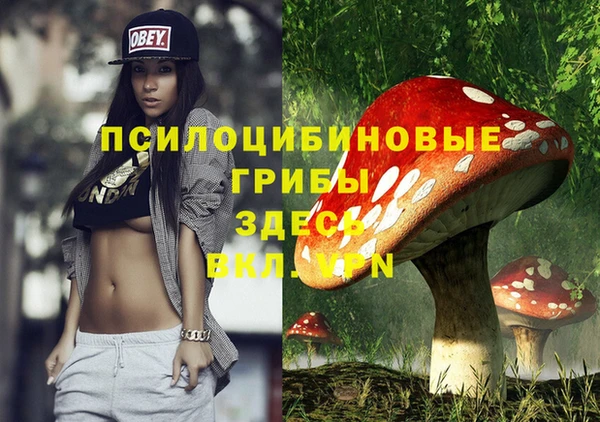 PSILOCYBIN Коряжма