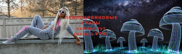 ешки Костерёво