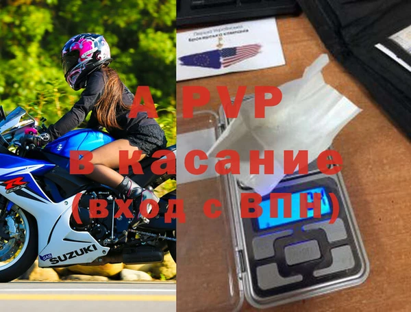 PSILOCYBIN Коряжма