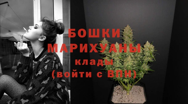 PSILOCYBIN Коряжма