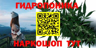 ГАЛЛЮЦИНОГЕННЫЕ ГРИБЫ Малгобек