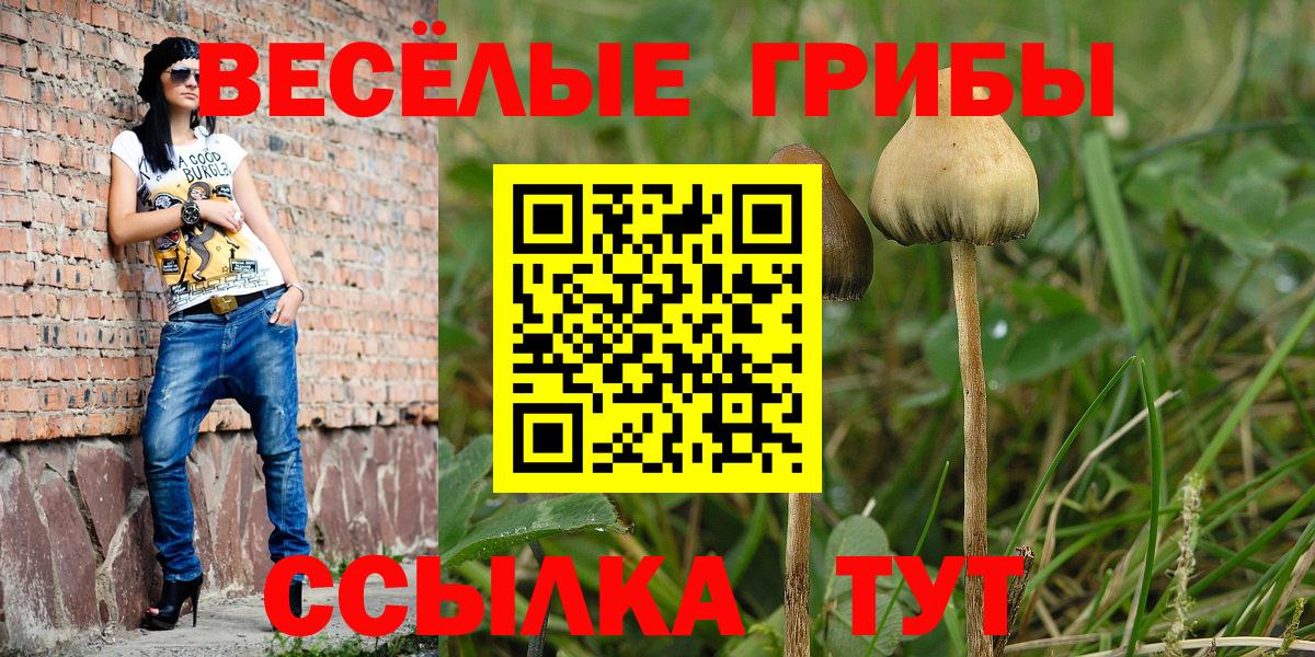 Южно-Сахалинск  где продают   Вход с VPN  Псилоцибиновые грибы ЛСД  Галлюциногенные грибы мухоморы 